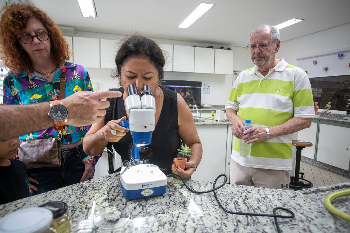 Mostra Pedagógica 2025 - 25