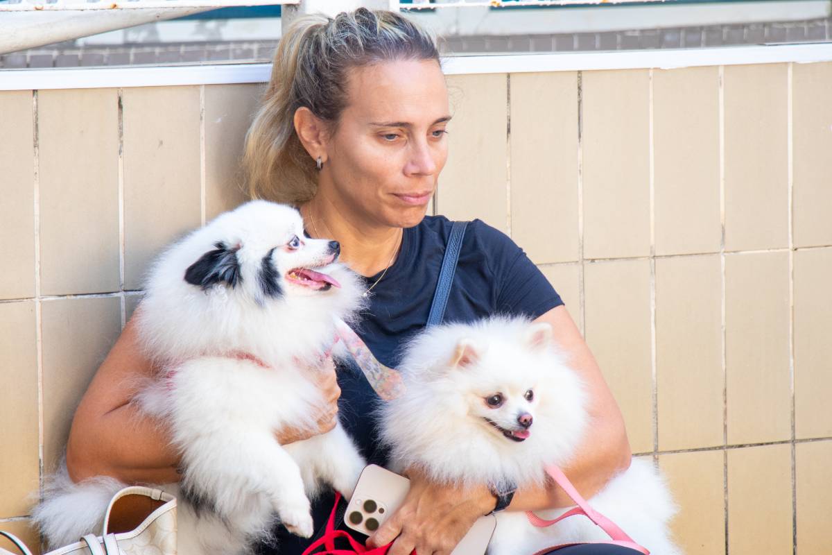 Nosso animado Pet Day - 61