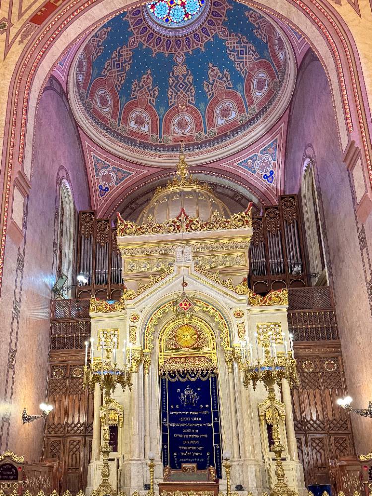 Voluntariado em Israel - 11