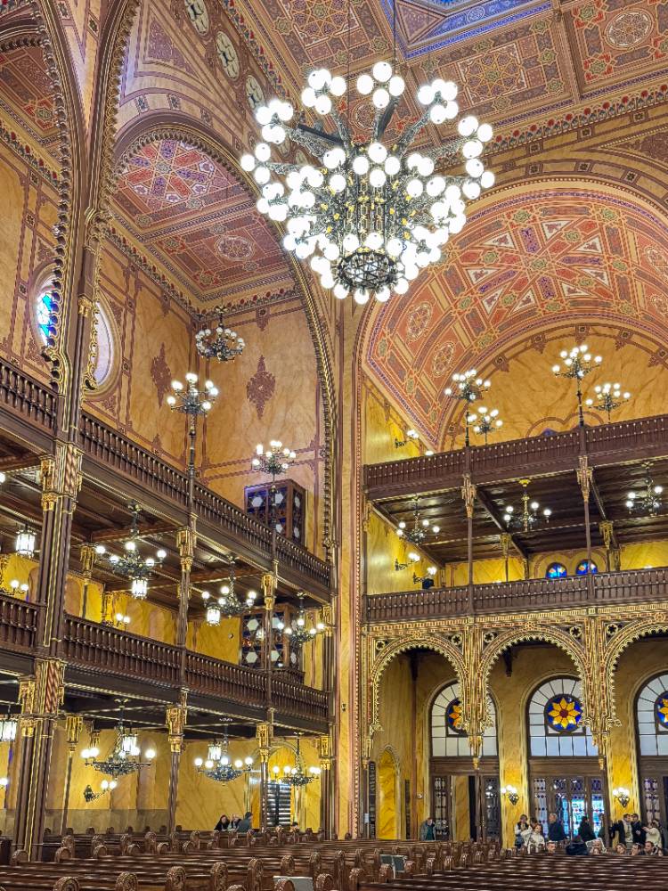 Voluntariado em Israel - 12