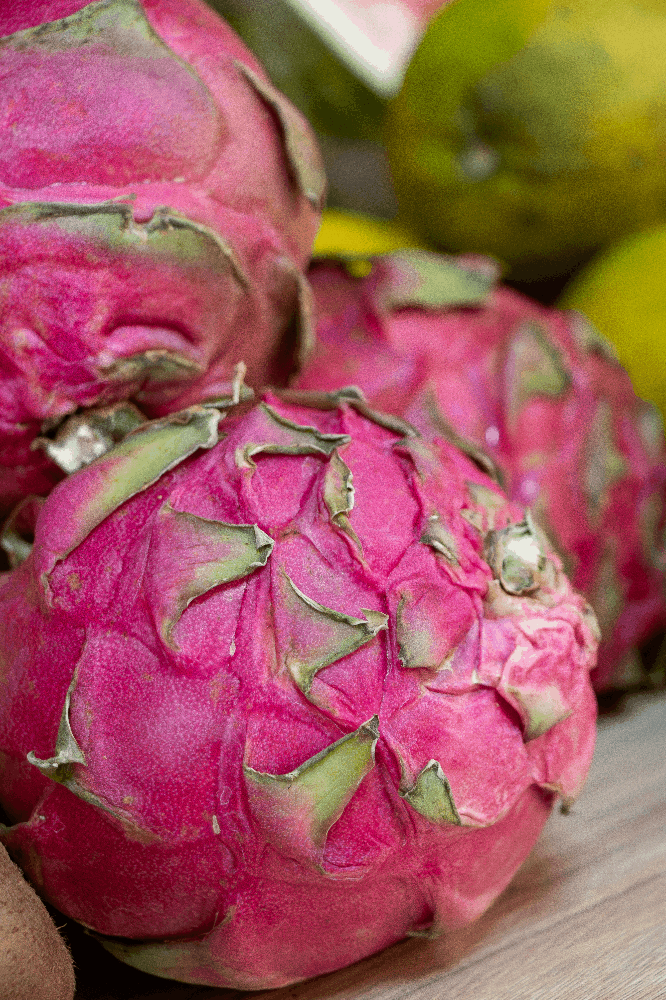 Semana da Saúde e Nutrição - 23